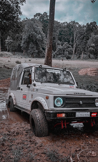 华为公司的 华为公司的