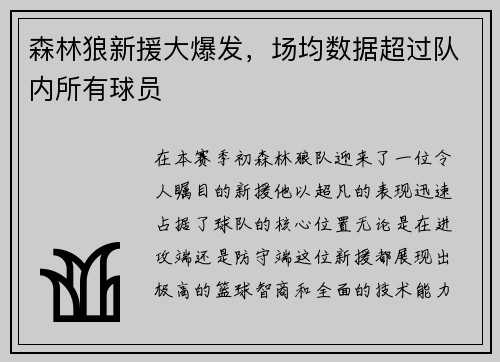 森林狼新援大爆发，场均数据超过队内所有球员
